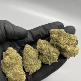 Acapulco Gold