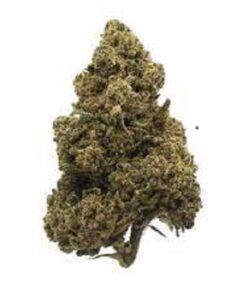 Amnesia Haze Strain for Sale