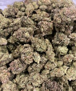 Apple Fritter Strain