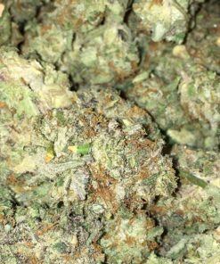 Apple Fritter Strain1