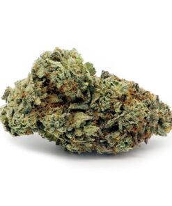 Best OG Kush Strains Online