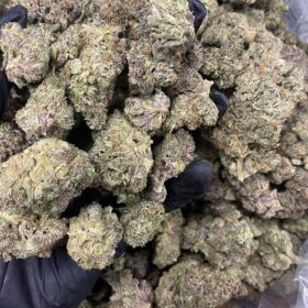 Black Cherry Punch
