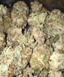 Blackberry Kush Weed Strains - Auto Blackberry Kush