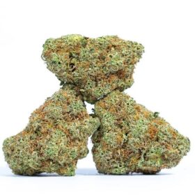 Blueberry Kush