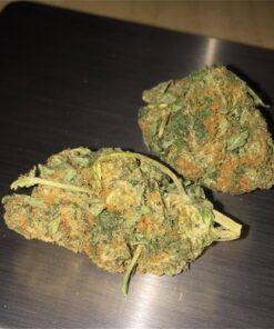 Blueberry Kush1