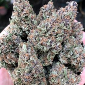 Cherry Punch