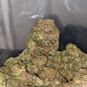 Crystal Coma Strain