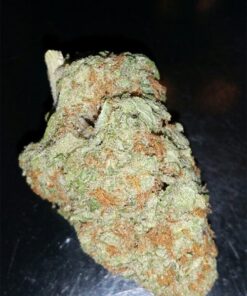 Dirty Girl Strain1