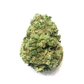 G13