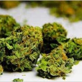 Lemon OG Haze Strain