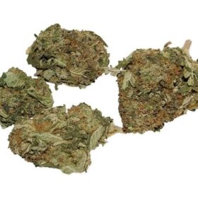 MK Ultra