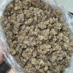 Platinum Lemon Cherry Gelato Strain