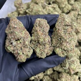 SFV OG