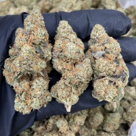 Strawberry Cough