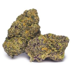 Sunset Sherbet