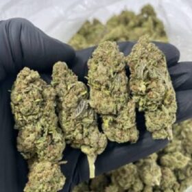 Super Silver Haze