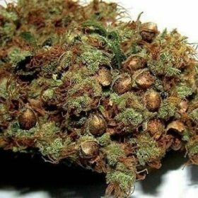 Wedding Cake Seeds