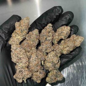 Zereal Strain