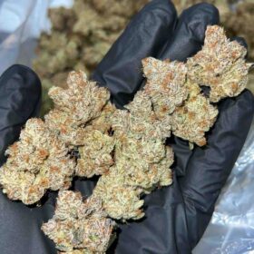 Zookies Weed Strains