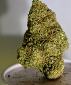 best sativa strain for euforia