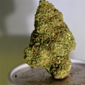 Euphoria Strain