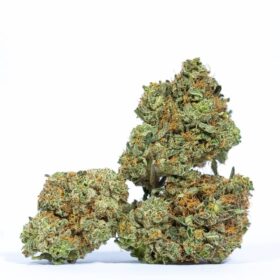Dr. Funk Strain
