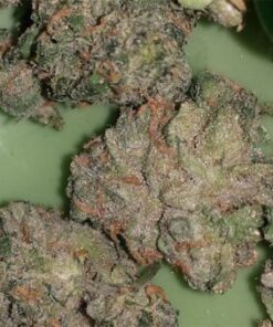 dr funk strain1