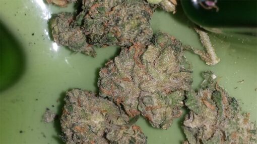 dr funk strain1