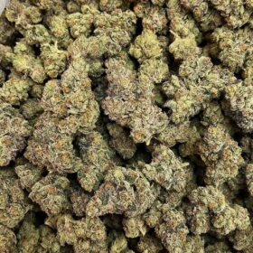 Invisible Ink Strain