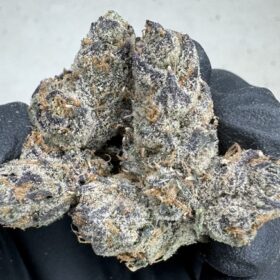Blue Nerds