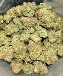 Cap Junky Weed Strain