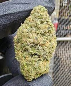 Cap Junky Weed Strain1