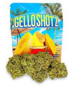 Gello Shotz Strain1