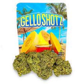 Gello Shotz