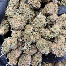Grape Pie Strain