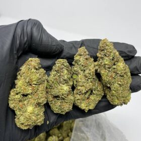 Ice Cream Cookies Strain