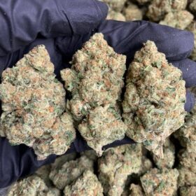 Jet Fuel Gelato