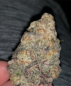 Miracle Alien Cookies1