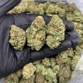 Oreoz Strain