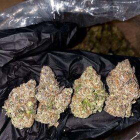 Pineapple Express