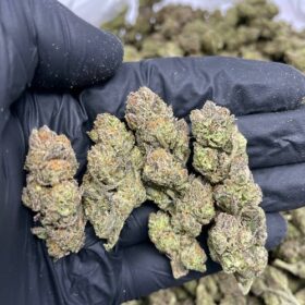 Pink Runtz Strain