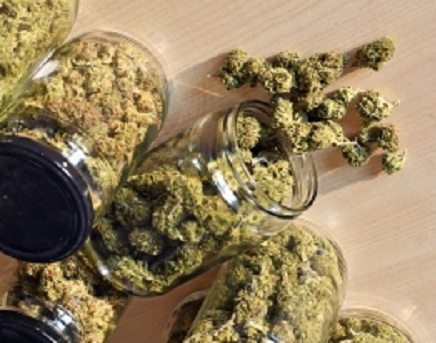 Harmful chemicals found in marijuana