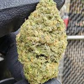 cap junky weed strain