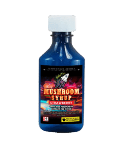 Best Times to Try Mushroom Syrup for Mind Boosts