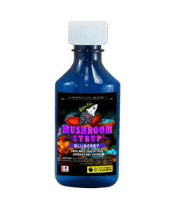 Easy Ways to Mix 3000mg Blueberry Psilocybin into Your Routine