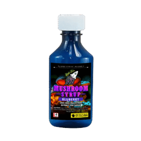 Higher Fire Extracts Mushroom Syrup Blueberry 3000mg Psilocybin