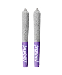 Buy Watermelon G Infused Pre-Roll by BOXHOT
