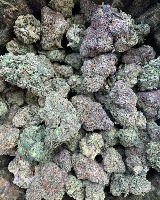 Finding Cheap Georgia Pie Strain Without the Hassle