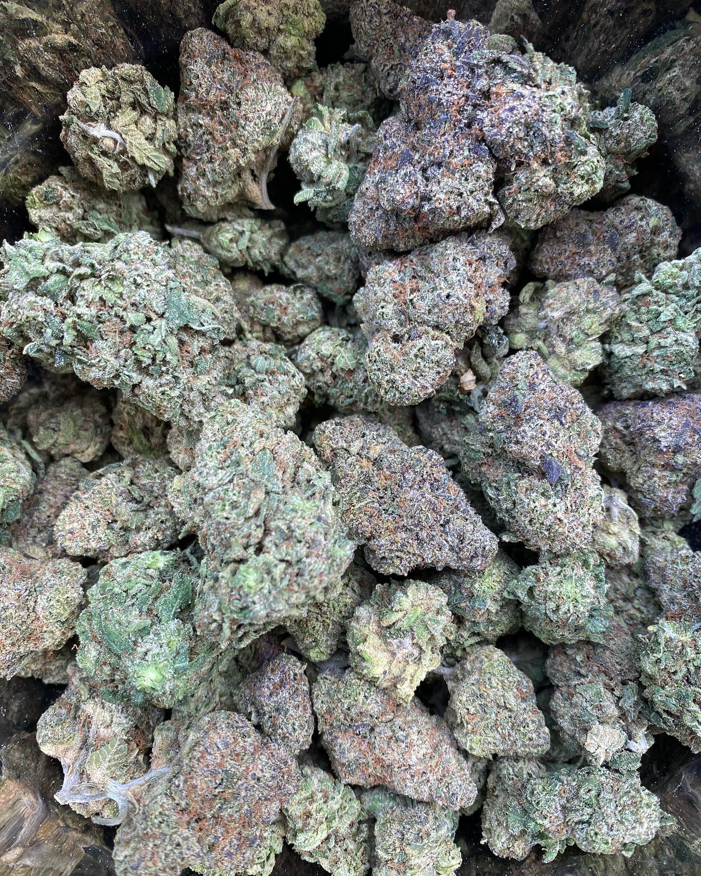 Unlock relaxation with Brain Candy Push Pop's simple techniques. From mindful popping to evening wind-downs, ease tension fast. Start your calm routine today.