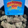 Finding Cheap Georgia Pie Strain Without the Hassle